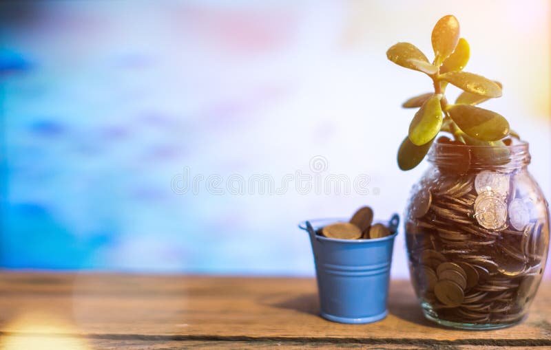 Pengarträd i en glass krus på en suddig bakgrund Affärsidé av framgång royaltyfri bild Pengarträd i en glass krus på en suddig bakgrund Affärsidé av framgång royaltyfri bild