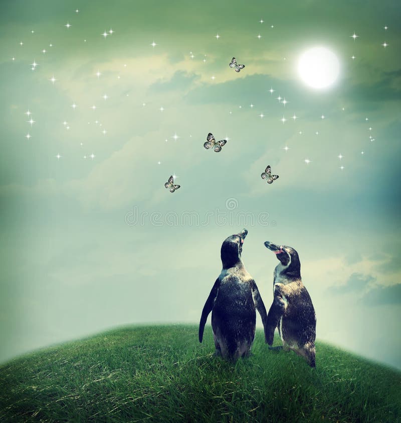 Penguin couple in fantasy landscape royalty free stock image Penguin couple in fantasy landscape royalty free stock image