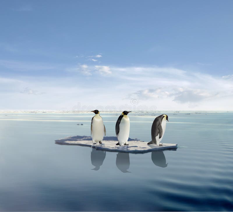 Pohľad na tri tučniaky, ktorý stojí na malý kus plávajúci ľad alebo ľadovca.