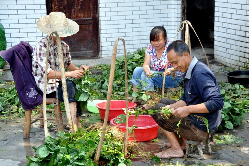 Pengzhou, China: Family Shucking Soybeans