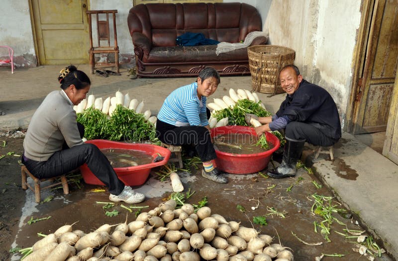 Pengzhou, China: Landbouwers die Radijzen wassen royalty-vrije stock afbeelding Pengzhou, China: Landbouwers die Radijzen wassen royalty-vrije stock afbeelding