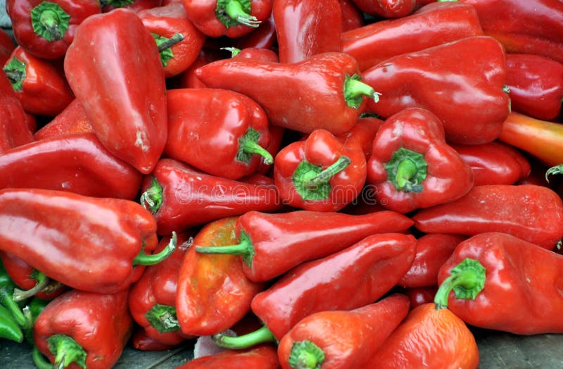 Pengzhou, China Verse Rode Paprika's Stock Foto Image of zoet