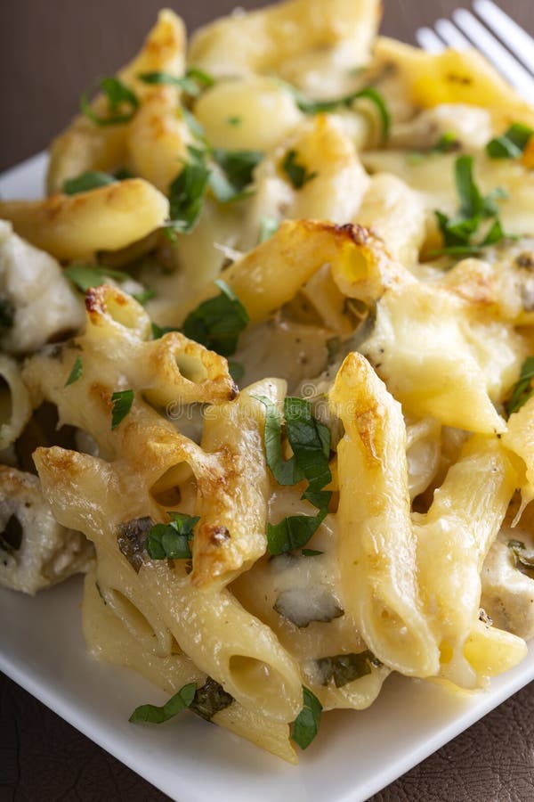 Penne Pasta with Chicken, Cream and Cheese Stock Photo Image of lunch, fried 233634736