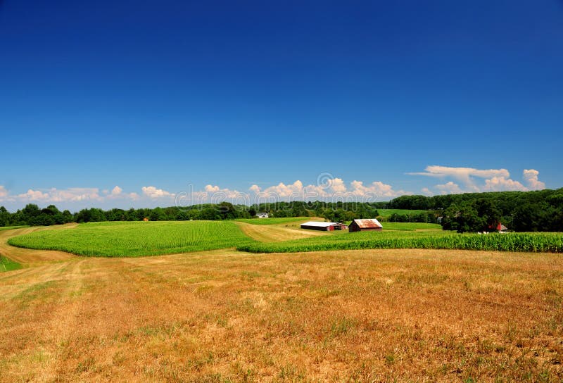 Pennsylvania farmland stock photo. Image of corn, summer 15132604