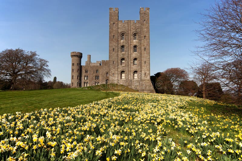 772 Castle Daffodils Stock Photos Free & RoyaltyFree Stock Photos