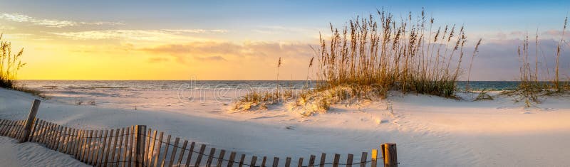 Panoramic photo of a beautiful sunrise at Pensacola Beach Florida with sea oats dunes, and a board fence