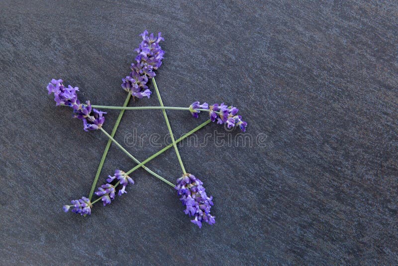 Pentagram - Witch, Wicca, Pagan symbol made of purple lavender flower spikes against gray / grey slate background