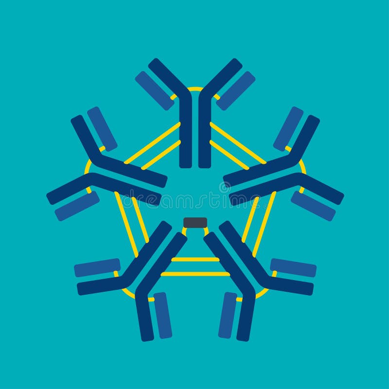 Structure of an antibody stock illustration. Illustration of