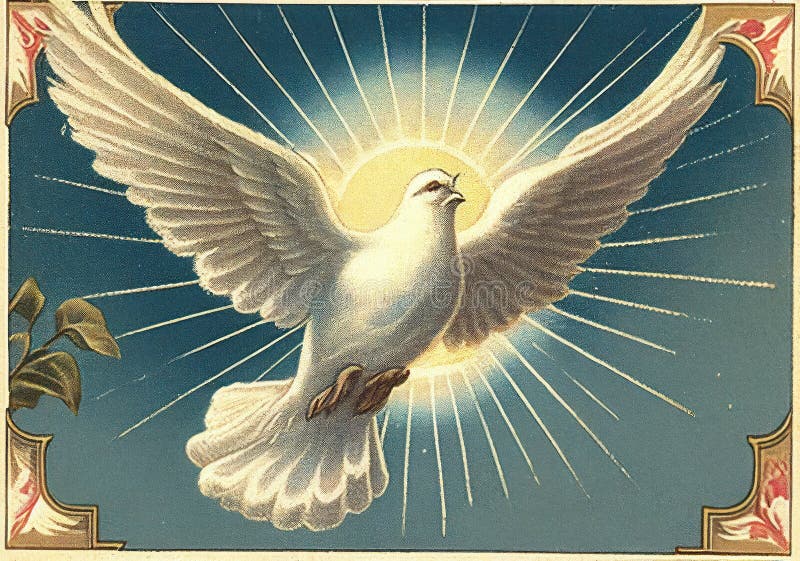 Pentecostal dove. Vintage postcard.