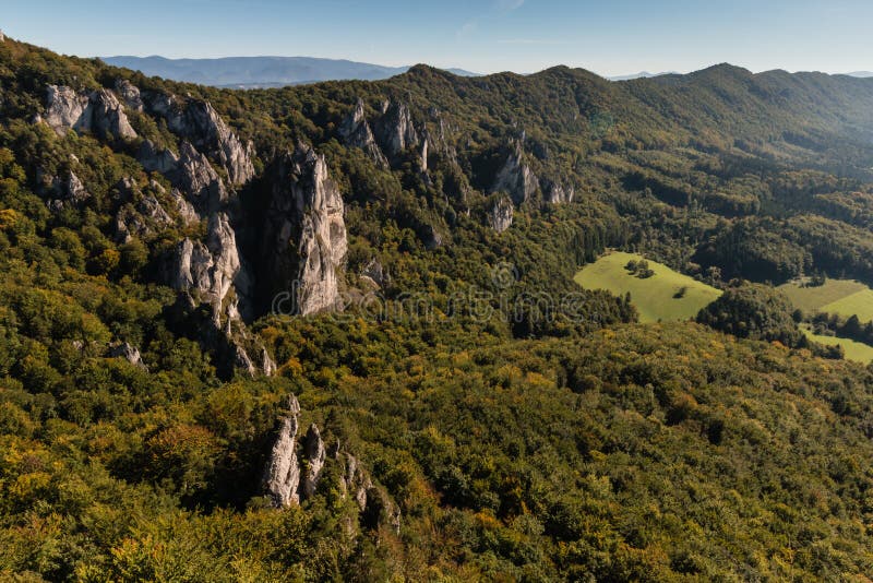 Pentes boisées en montagnes carpathiennes image libre de droits Pentes boisées en montagnes carpathiennes image libre de droits