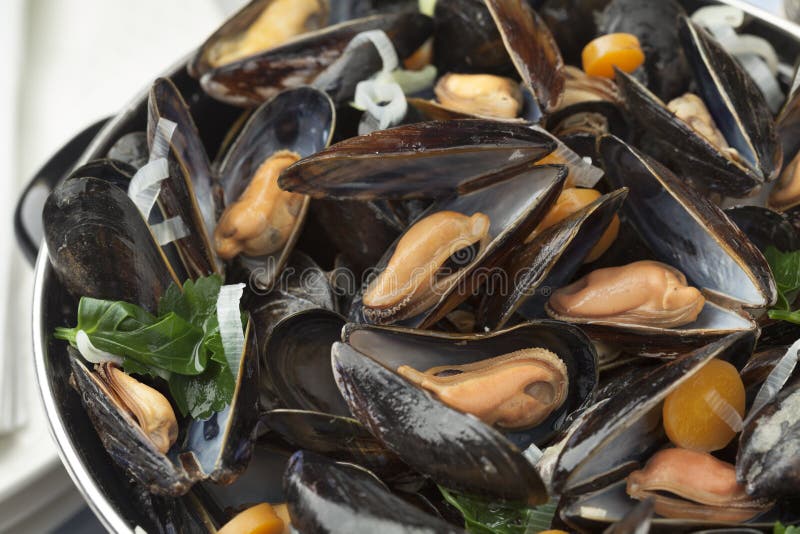 Pentola con le cozze cucinate fresche fotografia stock libera da diritti