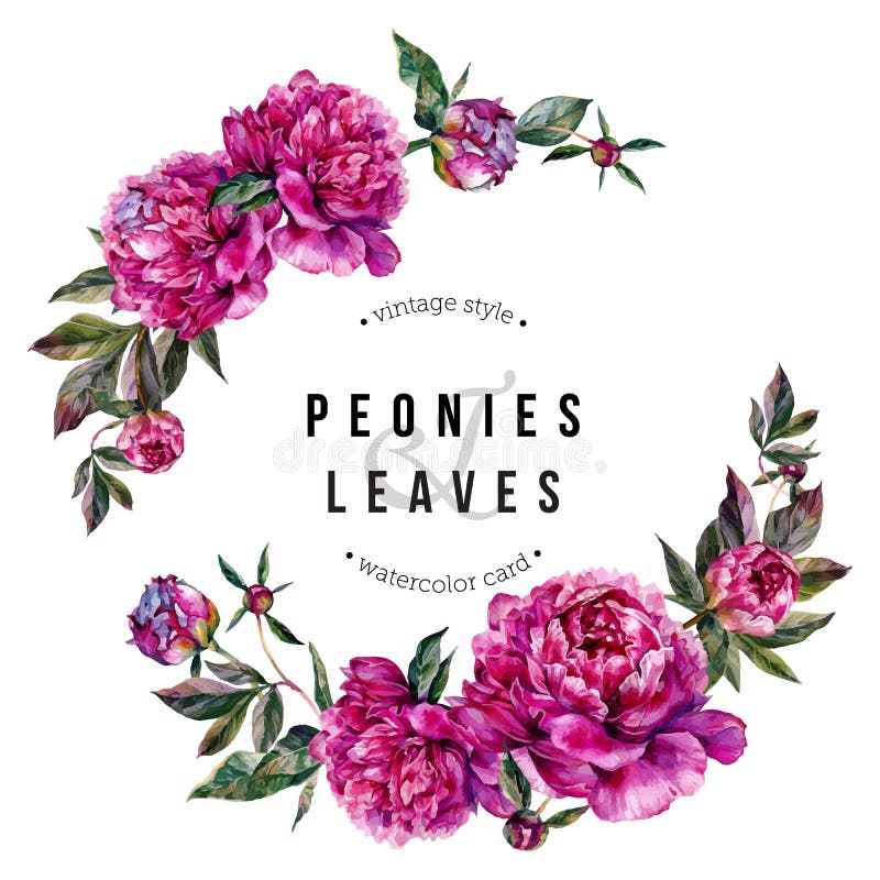 Peonie fucsia e libellule ghironda royalty illustrazione gratis