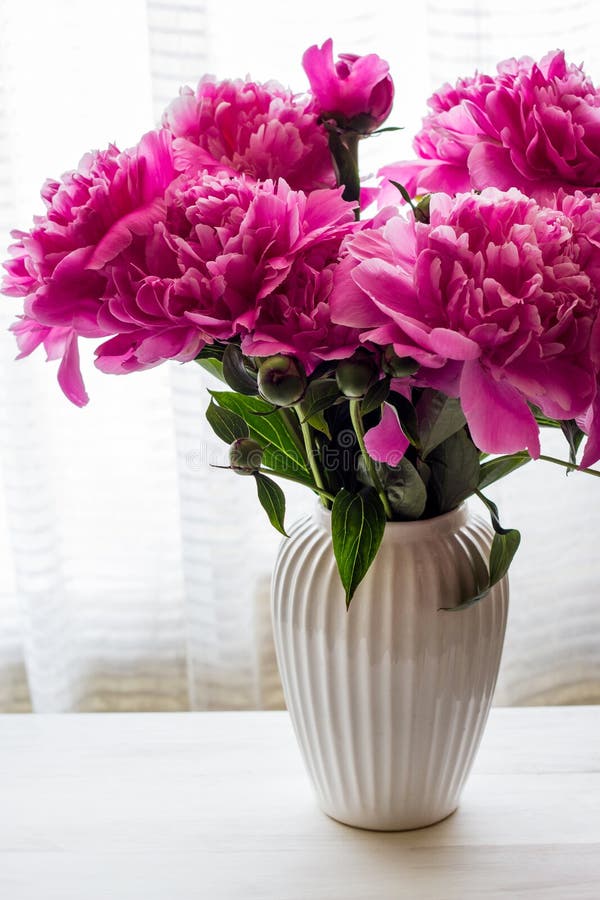 Peonies. a Bouquet of Peonies on a Light Background. Spring Flowers