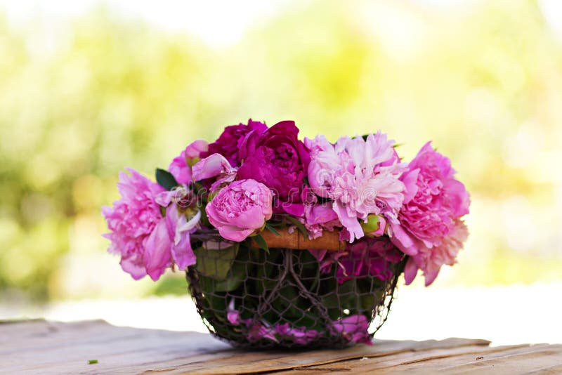 Peonies flowers