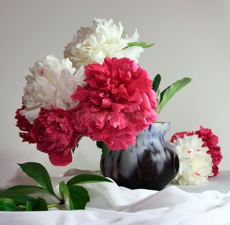 Peonies still life