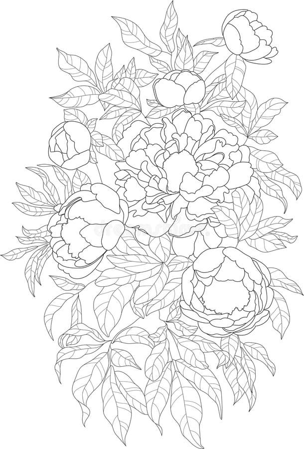 Realistic graphic peony flower bouquet with leaves sketch template. Cartoon vector illustration in black and white