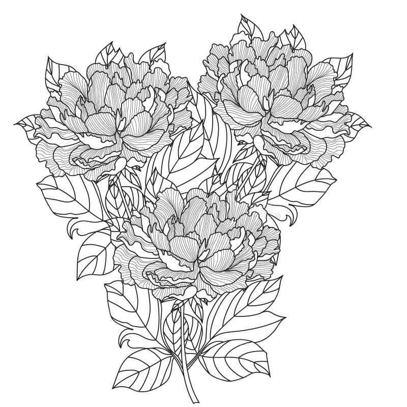 Peony Bouquet. Vector. Coloring Book Page for Adults. Hand Drawn