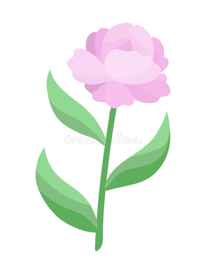 pic Cartoon Peony dreamstime com