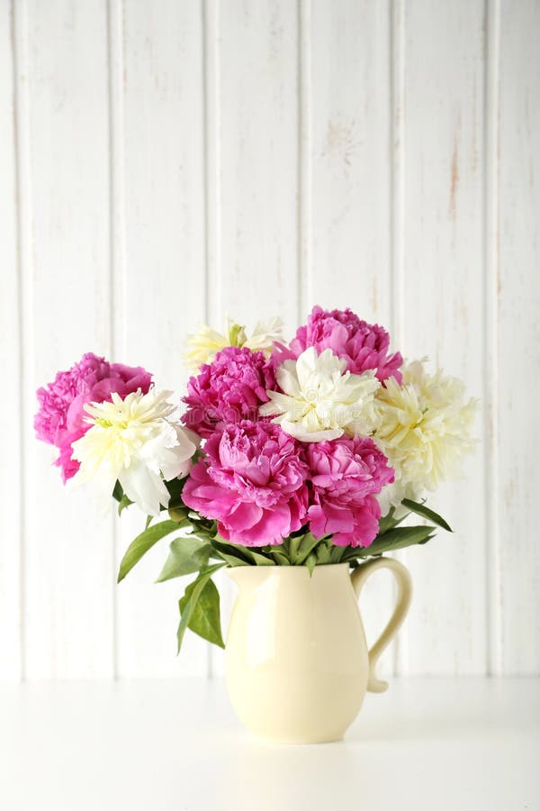 Peony flowers stock photo. Image of love, bloom, health 72461248