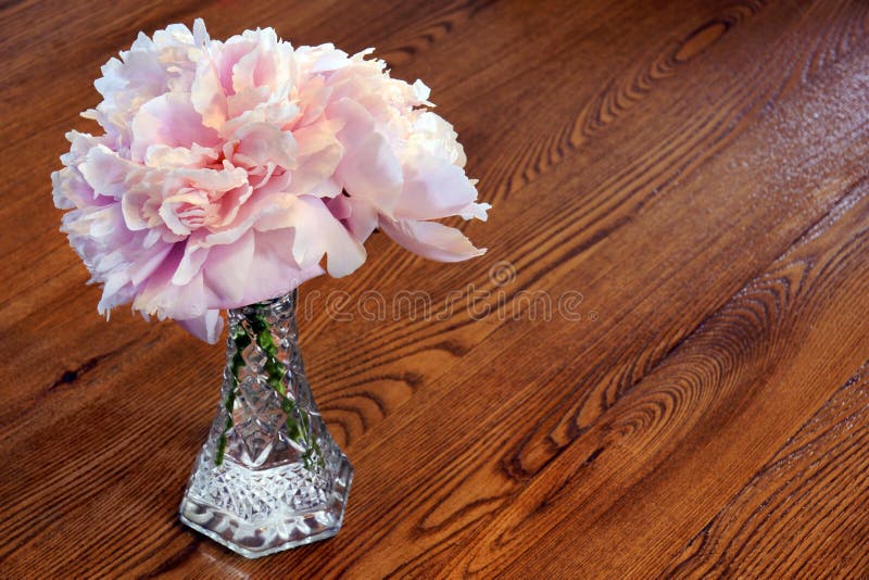 Peony Flowers on Wooden Table Stock Photo Image of vase, water 20496480