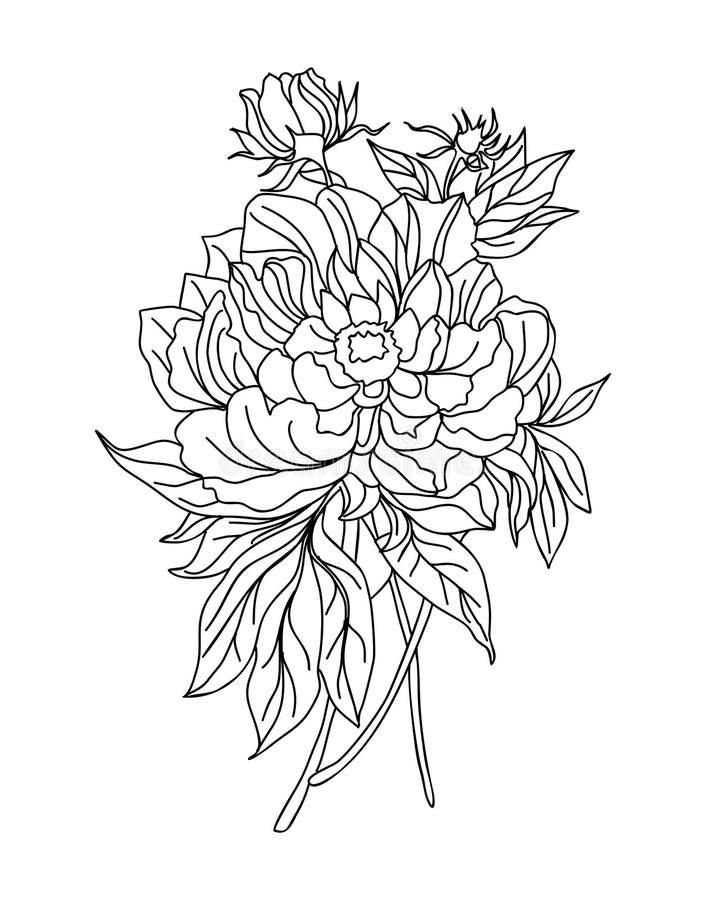 Peony November Birth Month Flower Line Art. Stock Vector - Illustration ...