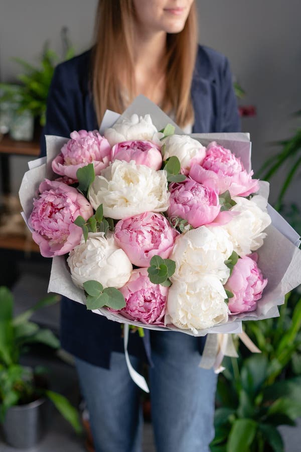 Peonías del rosa y blancas en las manos de la mujer Flor hermosa de la peon?a para el cat?logo o la tienda en l?nea Concepto flor foto de archivo libre de regalías Peonías del rosa y blancas en las manos de la mujer Flor hermosa de la peon?a para el cat?logo o la tienda en l?nea Concepto flor foto de archivo libre de regalías
