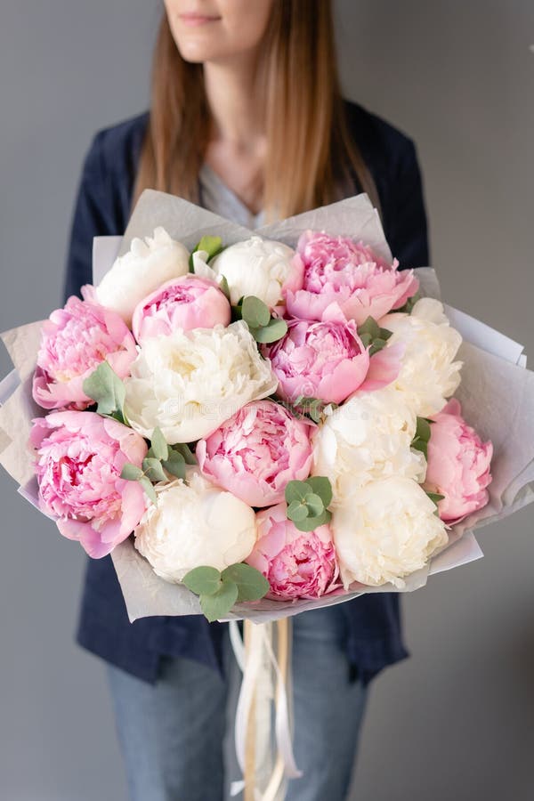 Peonías del rosa y blancas en las manos de la mujer Flor hermosa de la peon?a para el cat?logo o la tienda en l?nea Concepto flor imagenes de archivo Peonías del rosa y blancas en las manos de la mujer Flor hermosa de la peon?a para el cat?logo o la tienda en l?nea Concepto flor imagenes de archivo