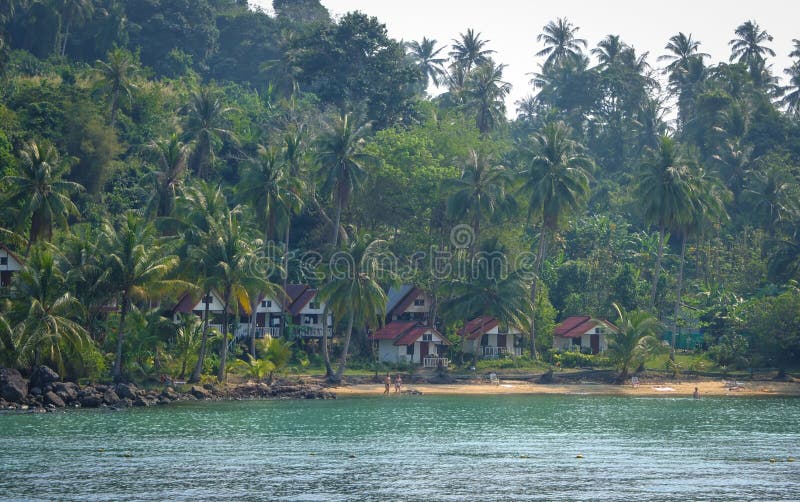 People bathing on the beach with many plam trees in Koh Chang, Thailand royalty free stock image
