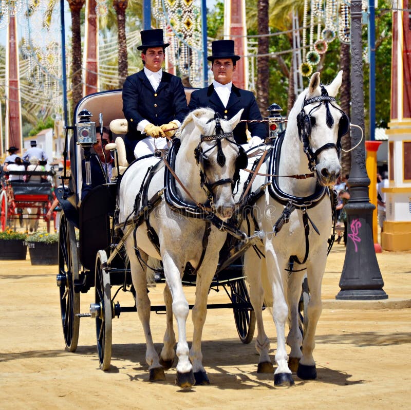 People in carriage horses