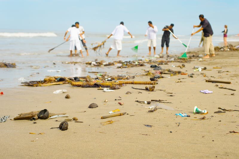 People cleaning polluted beach. Bali