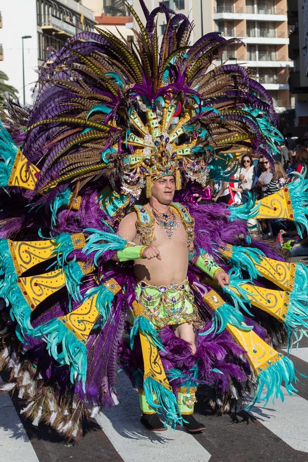 Man In Feather Costume Celebrating Carnival (Carnaval De Santa Cruz De  Tenerife). Stock Photo, Picture and Royalty Free Image. Image 73984958.