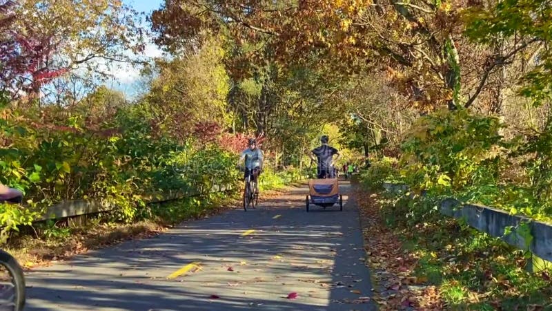 People cycling, jogging and walking in autumn bikeway