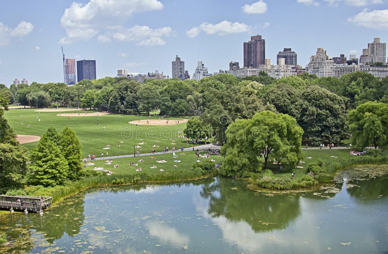 People Enjoying the Summer at Central Park Stock Image - Image of park ...