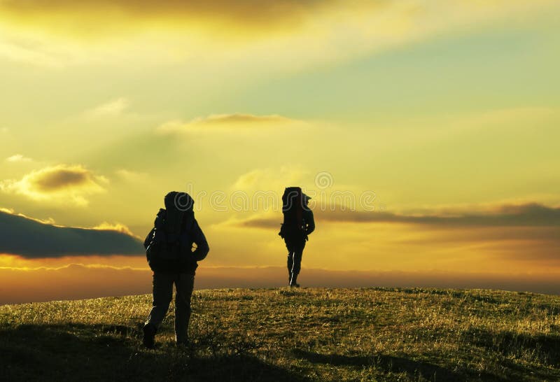 Dos común arriba sobre el pradera en.