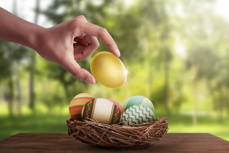 People hand put golden egg with other easter egg royalty free stock photo
