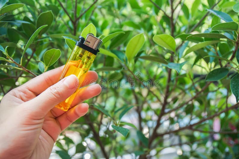 People hold yellow lighter in left hand for fire and smoking stock photography