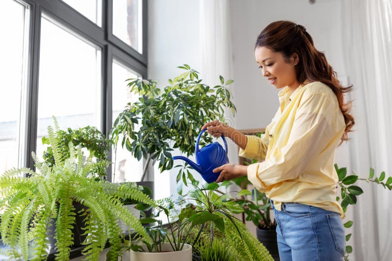 Happy asian woman watering plants at home. People, housekeeping and plants care concept - happy smiling young asian woman watering houseplants at home royalty free stock photo