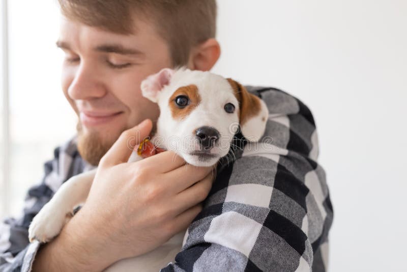 People, pets and animals concept - close up of young man holding jack russell terrier puppy stock image People, pets and animals concept - close up of young man holding jack russell terrier puppy stock image