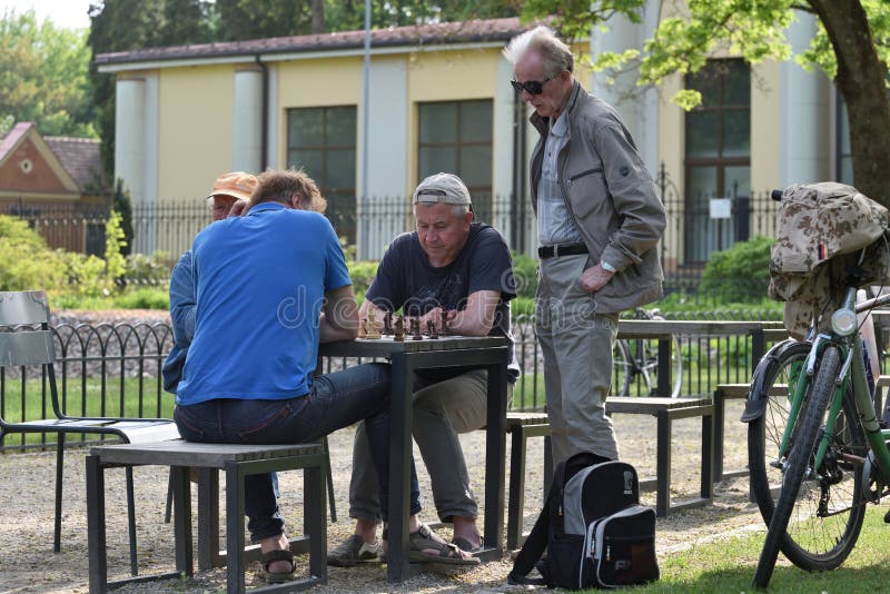 People play chess in a park stock images People play chess in a park stock images