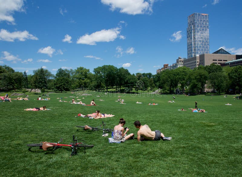 People Sunbathe On The Lawn. Editorial Photo - Image of vacation ...