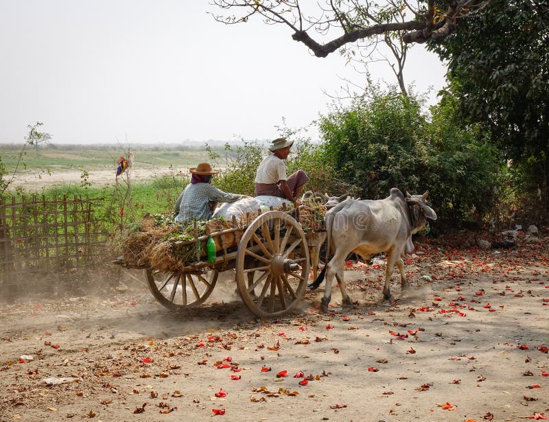 People riding ox cart at Mingun village in Mandalay, Myanmar royalty free stock photo People riding ox cart at Mingun village in Mandalay, Myanmar royalty free stock photo