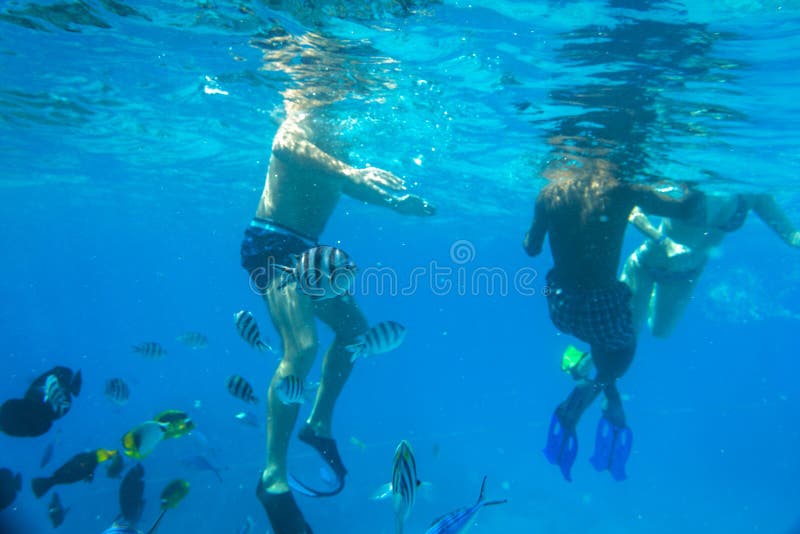 People at snorkeling in Red Sea royalty free stock image People at snorkeling in Red Sea royalty free stock image