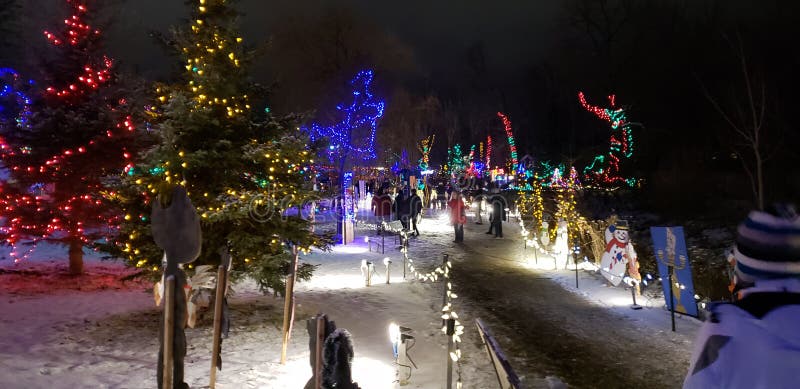 Christmas Lights In The Park Stock Photo Image of people, park 135425262