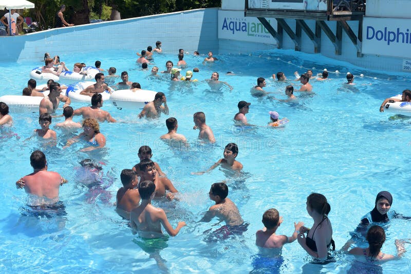 People swimming in the pool