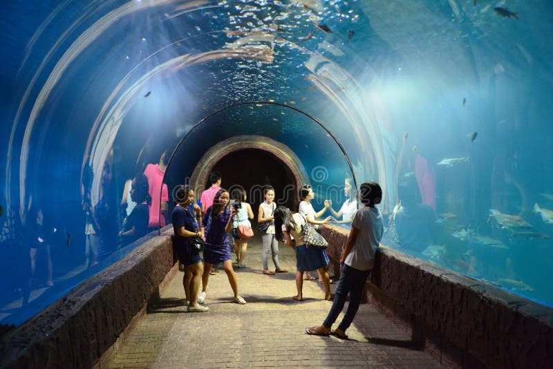 People viewing Fishs are swimming in an aquariumnin Nong Khai aquarium in Thailand