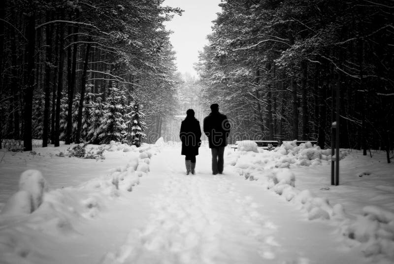 People Walking on a Snow Covered Pathway Surrounded by Snow Covered