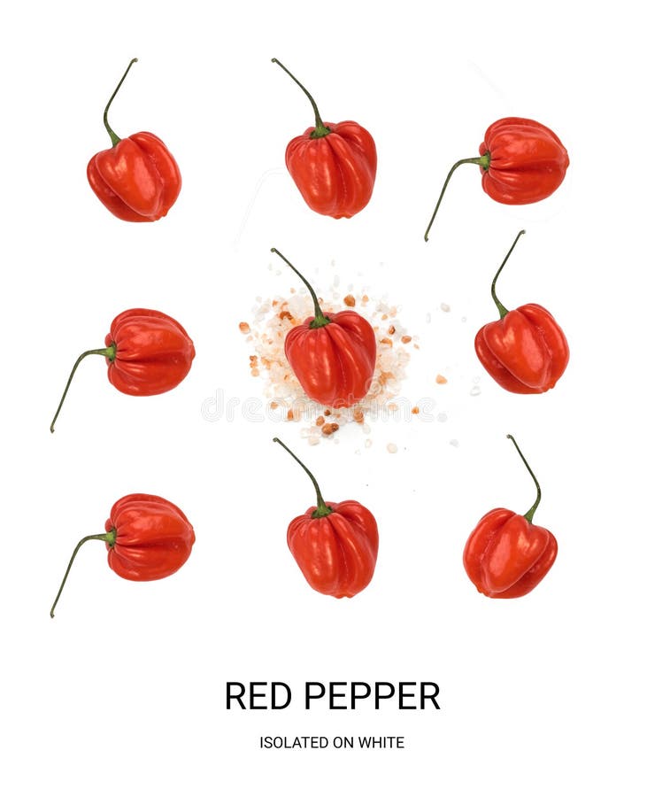 Pepe e sale. Chili Pepper rosso e sale isolati su fondo bianco Modello rovente del Habanero del pepe