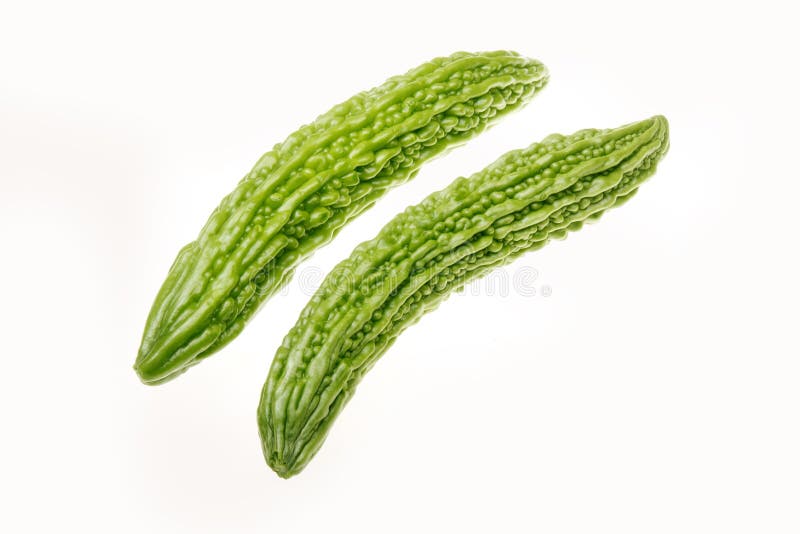 Pepene amar royalty free stock photo