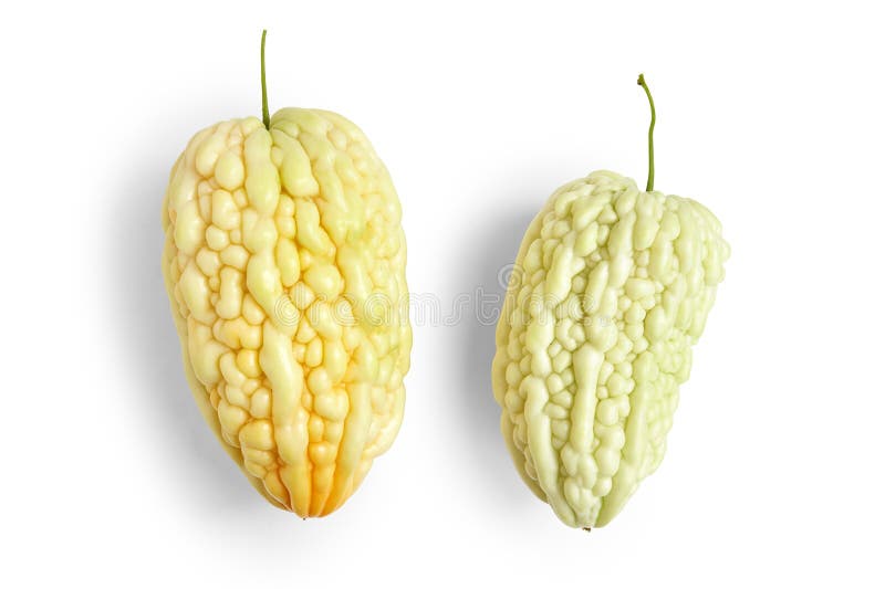 Pepene amar izolat pe alb royalty free stock images