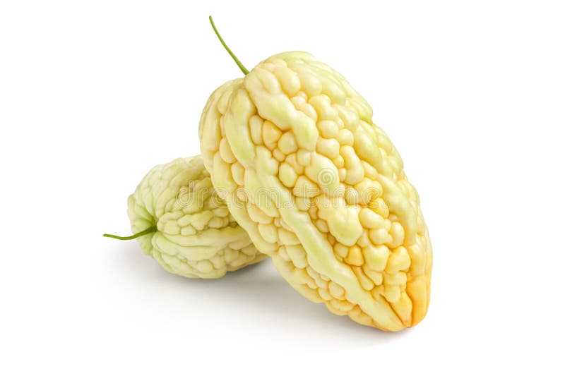 Pepene amar izolat pe alb stock images